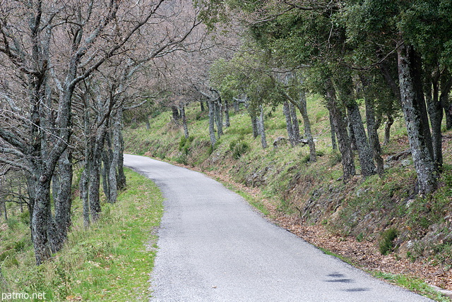 Photo d'une petite route de montagne dans la fort du Massif des Maures