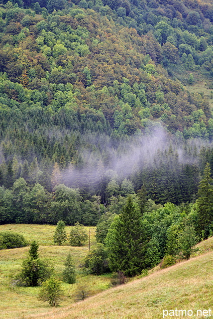 Image d'un paysage d'automne dans la vallée de la Valserine