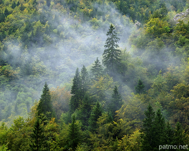 Photo de la fort de la Valserine dans la brume matinale