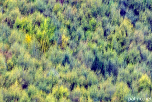 Photo abstraite des premires couleurs d'automne dans la fort de la Valserine