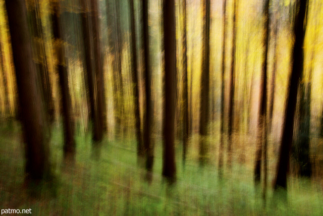 Image abstraite de la fort de la Valserine en automne