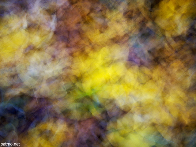 Image abstraite de feuilles d'automne sur le sol de la fort