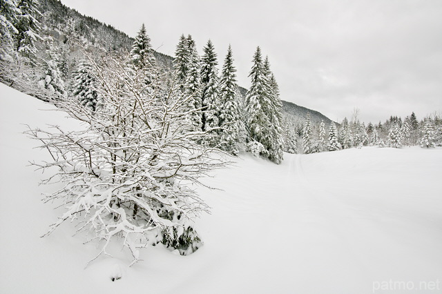 Photo de la valle de la Valserine sous la neige dans le PNR du Haut Jura.