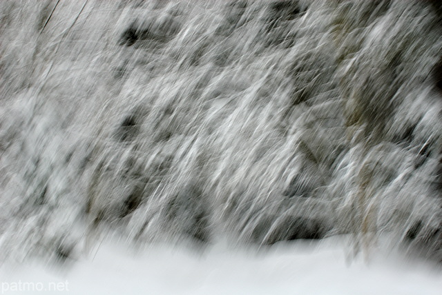 Photographie de la fort de la Valserine sous la neige dans le Parc Naturel Rgional du Haut Jura