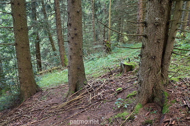 Image de la fort du Col de la Forclaz