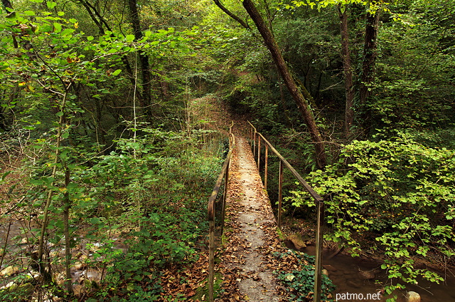 Photo of an old footbridge over Fornant river