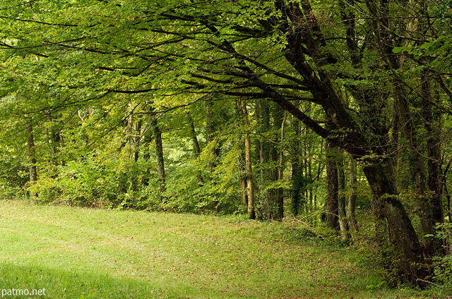 Image de la campagne de Haute Savoie au dbut de l'automne