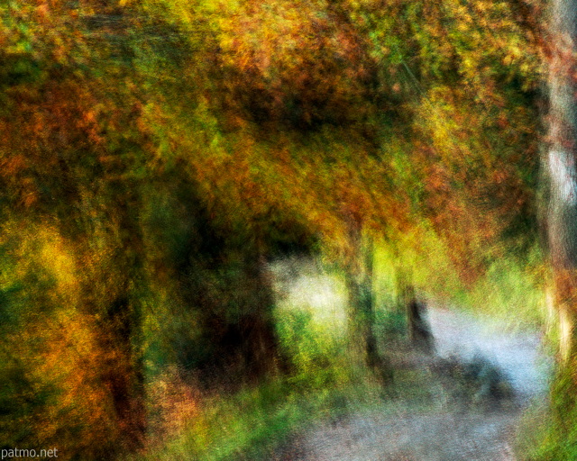 Photographie abstraite d'un chemin d'automne en fort