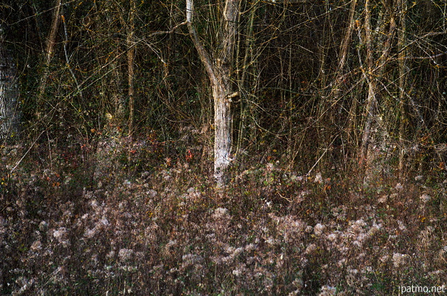 Multi expositions en bordure de fort