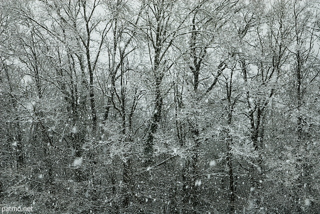 Photographie d'une tempte de flocons en bordure de fort