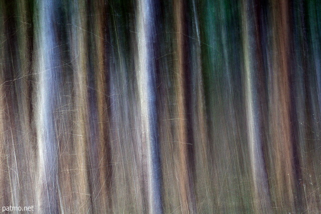 Photo avec effet de fil sur les arbres