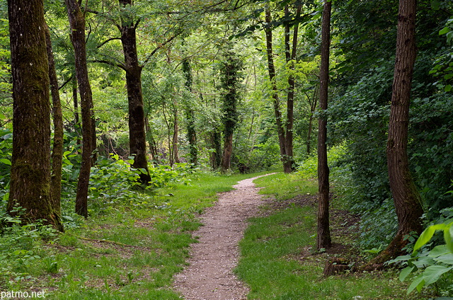 Photograph of springtime on the forest path along Usses river in Frangy
