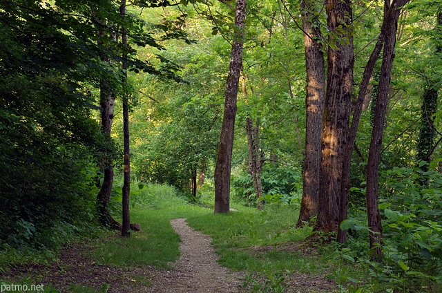 Photographie du Chemin du Pcheur  Frangy