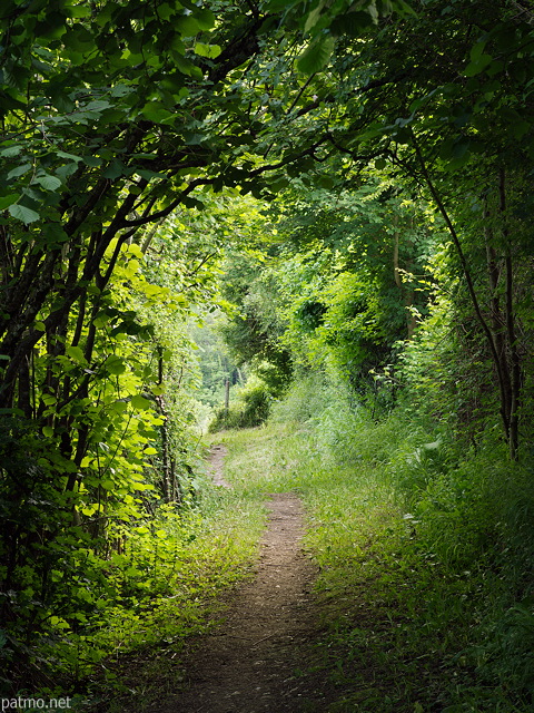 Photo du chemin vers Compostelle  Chaumont en Haute Savoie