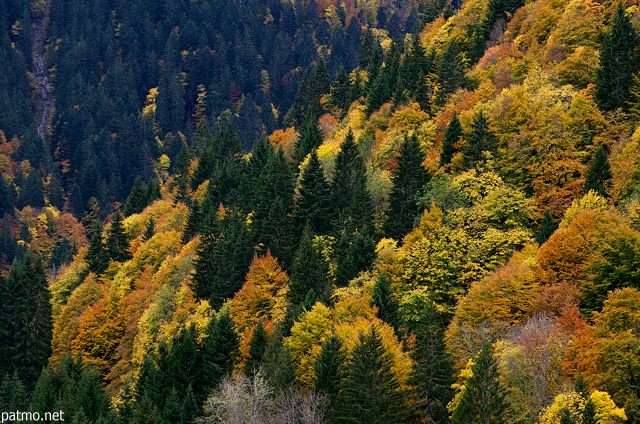 Photo de l'automne en montagne  Bellevaux en Haute Savoie