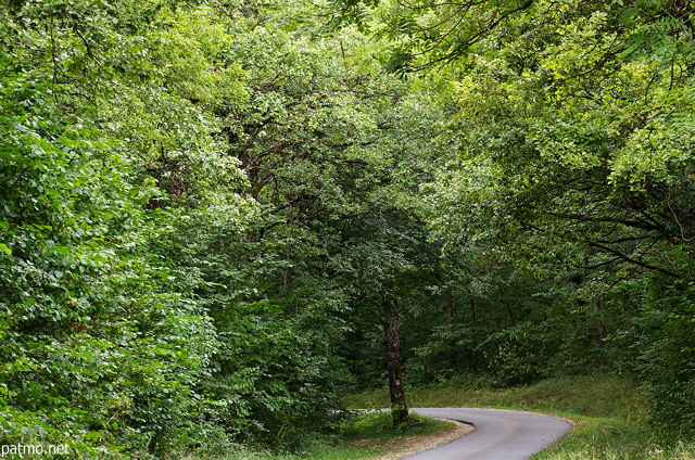 Photo d'une petite route de campagne dans la forêt de Chaumont en Haute Savoie