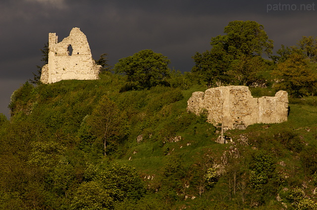 Image des ruines du château de Chaumont sous un ciel couvert