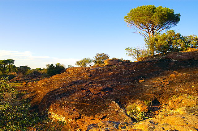 Photo de la Plaine des Maures dans la lumière du soleil couchant