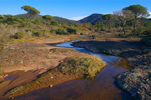 Ruisseau dans la Plaine des Maures