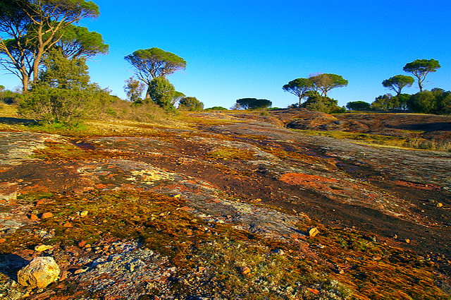 photographie de la plaine des maures