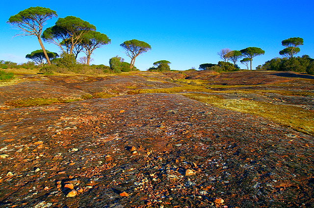 paysage de la plaine des maures