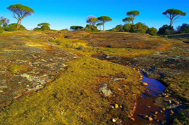 photographie de la plaine des maures