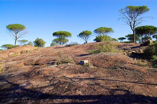 image de la plaine des maures