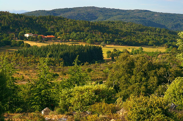 Photo du plateau de lambert