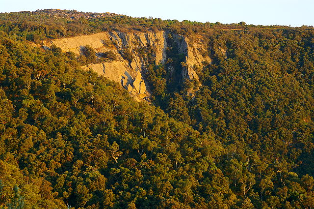 Photographie des laves du desteu a collobrieres