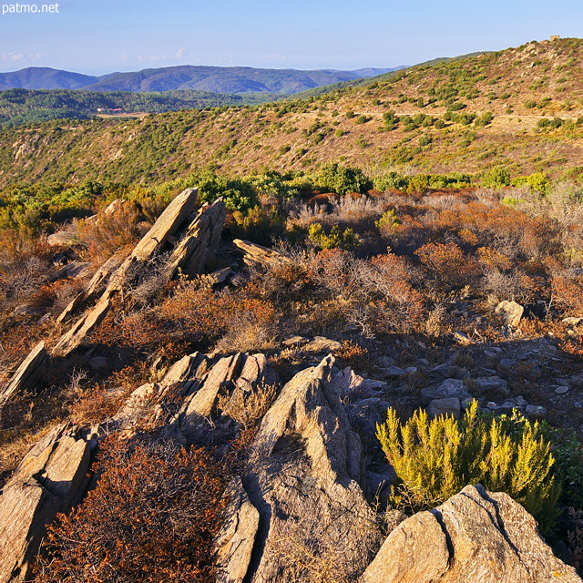 Photo de paysage sur les crtes du Massif des Maures