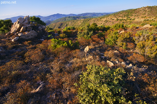 Image of a summer Provence landscape in the hills of Massif des Maures