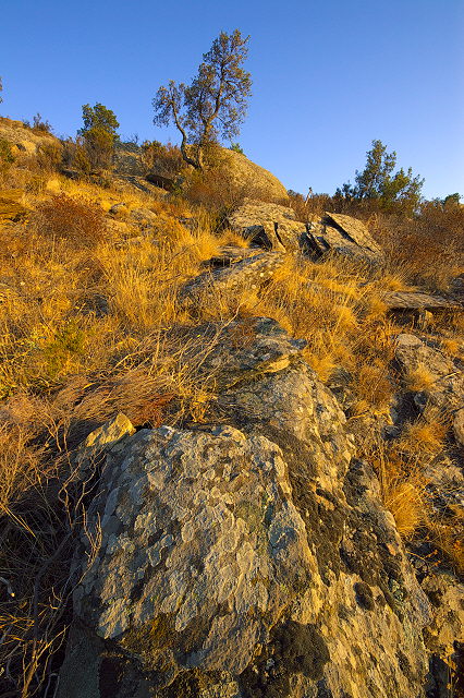 paysage du massif des maures