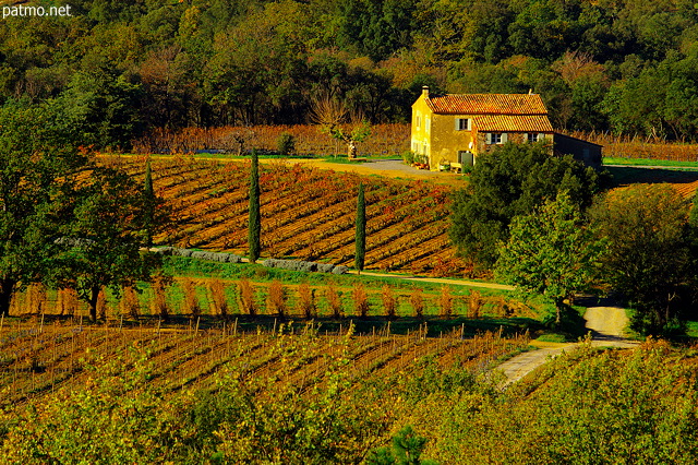 Picture of a bastide in Provence vineyard - Massif des Maures area.