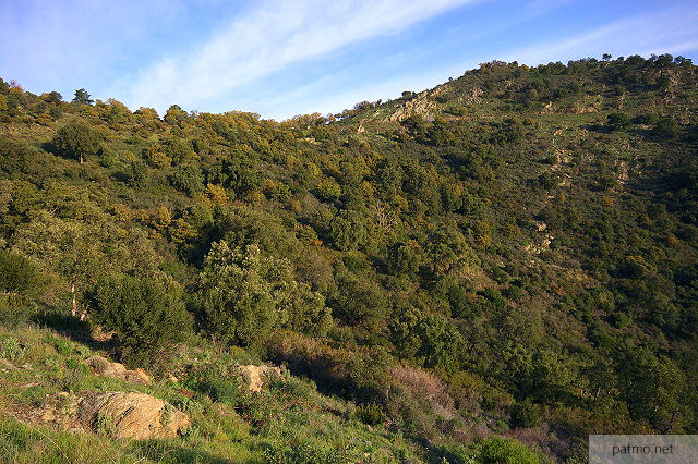 photographie des cretes du massif des maures