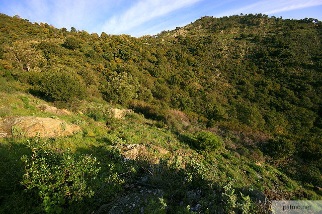 image des cretes du massif des maures