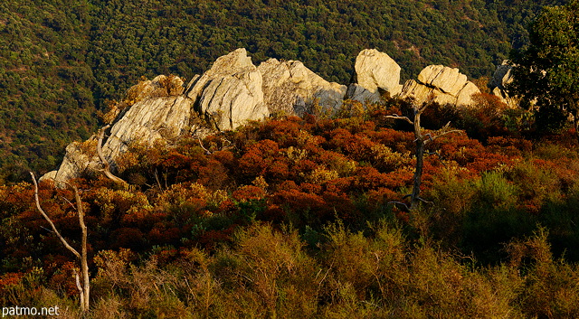 Image des crtessauvages du Massif des Maures un soir d't