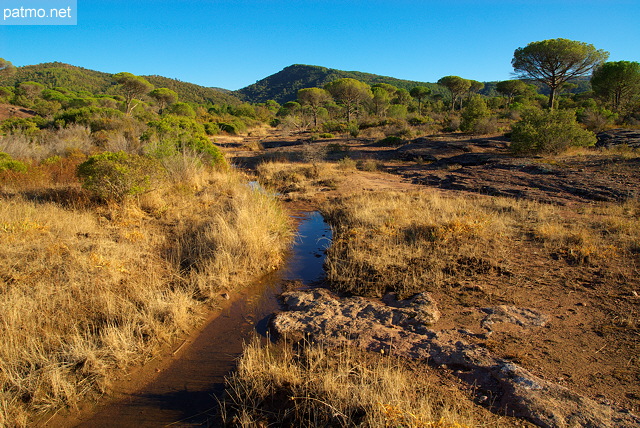 Plaine des Maures landscape after the rain