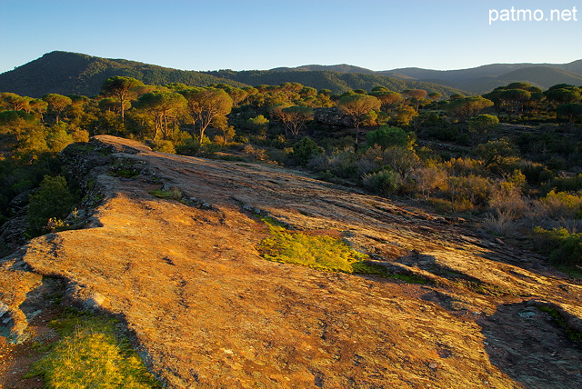 Photographie de la plaine des maures