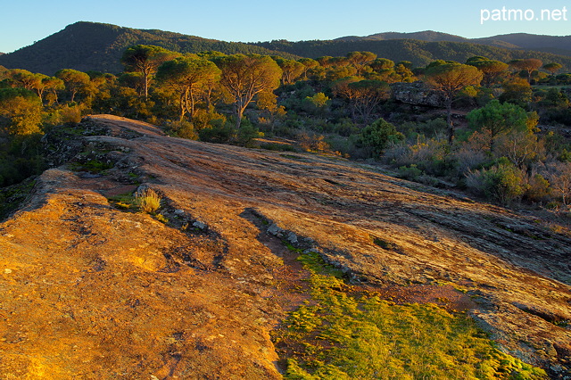 Photo de la Plaine des Maures