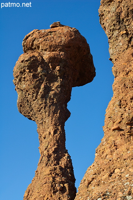 Photographie de demoiselles coiffées aux alentours du rocher de Roquebrune sur Argens