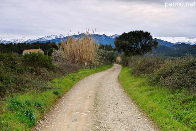 Photographie d'un paysage d'hiver dans la plaine orientale de la Corse