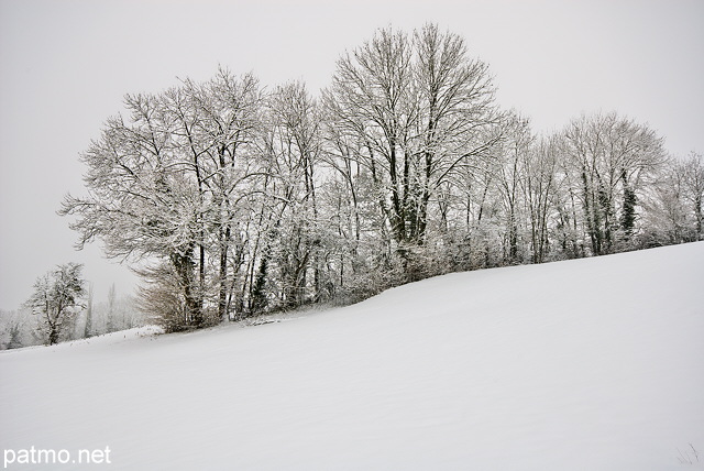 Photographie d'une haie enneige en Haute Savoie