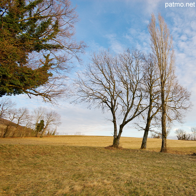 Photo d'un paysage rural sur le plateau des Daines à Chaumont en Haute Savoie