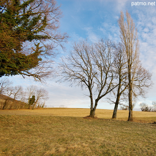 Photo d'un paysage rural sur le plateau des Daines  Chaumont en Haute Savoie