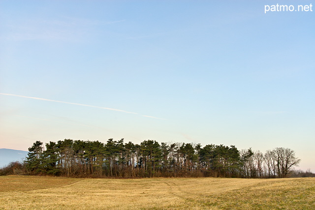 Photo du plateau des Daines au lever du jour