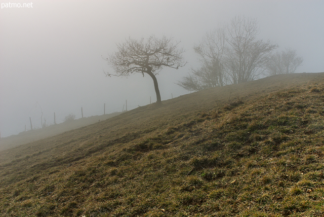 Photo d'un paysage rural dans le brouillard sur la crête du Vuache en Haute Savoie.