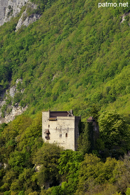 Photo du chteau d'Arcine sur les pentes de la montagne du Vuache en Haute Savoie