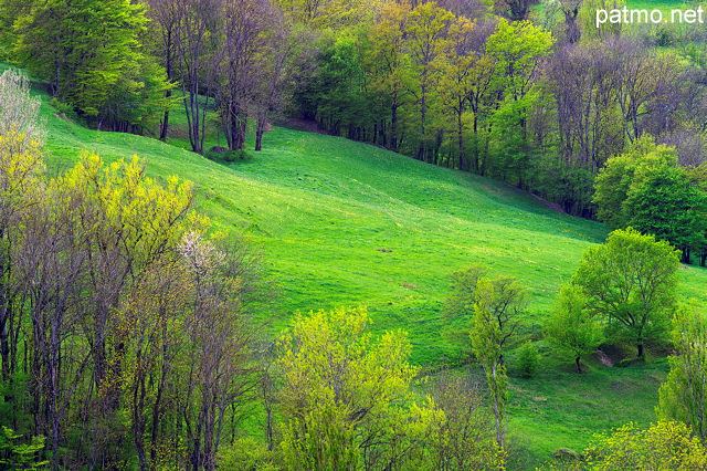 Paysage rural au printemps autour d'Arcine en Haute Savoie