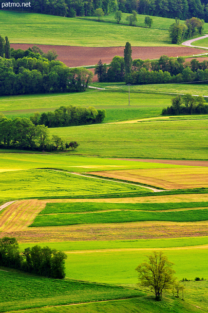 Image des couleurs du printemps dans les champs aux alentours de Frangy en Haute Savoie