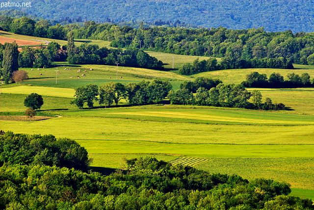 Photo d'un paysage rural dans la région de Frangy en Haute Savoie